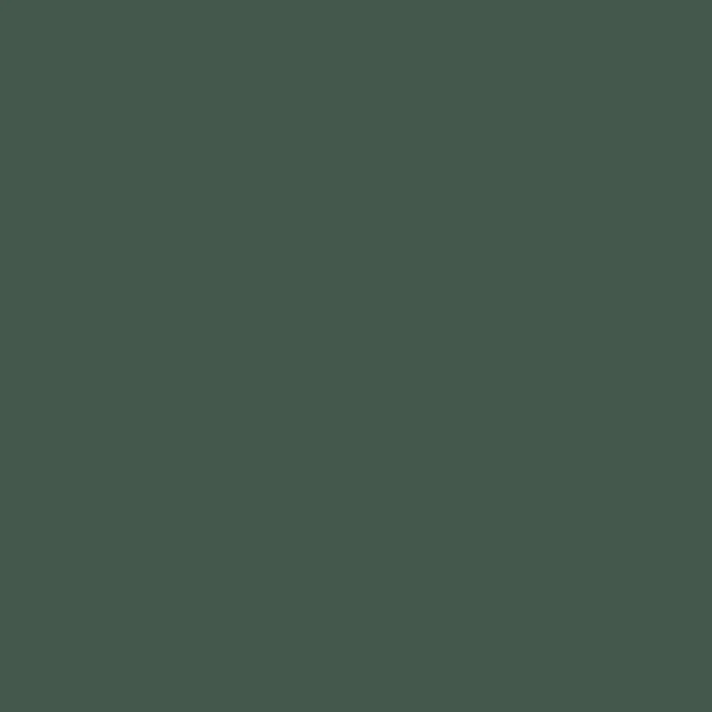 Postcards From the Ridge x Samplize: Top Dark Green Paint Colors